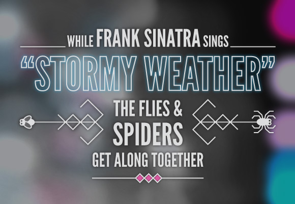 While Frank Sinatra Sings "Stormy Weather" the Flies and Spiders Get Along Together